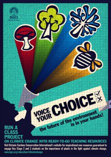 voice your choice poster