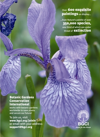 society of botanical artists advert