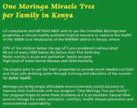 Find our more about Moringa