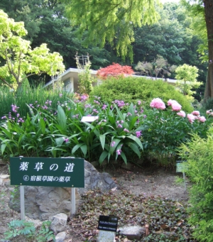 Higoshiyama Medicinal Plants garden