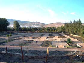 Fex Botanic Garden being laid out