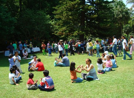 celebrations in the garden