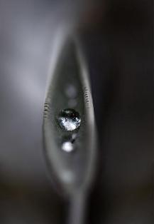 igpoty winner