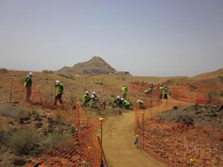 oman planting