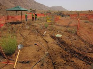 oman irrigation