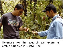 DNA Barcoding: scientists examine rare species