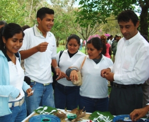 Coloquio plantas &uacute;tiles