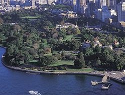 sydneybg