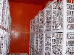 The Tropical Germplasm Bank at XTBG