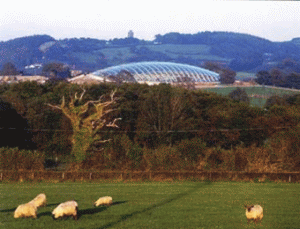 Norman Foster's Great Glasshouse