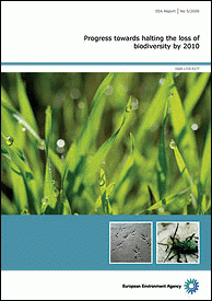 EEA Report on 2010 Progress