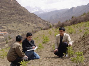 Chinese scientists can make faster field identifications