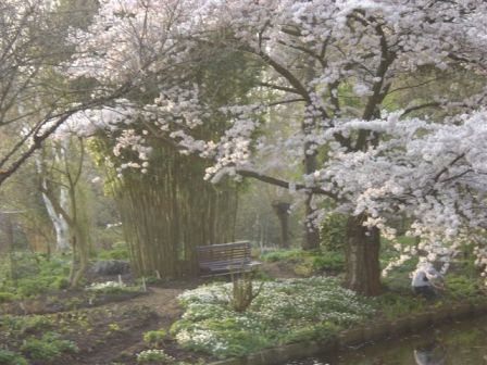 hortus botanicus