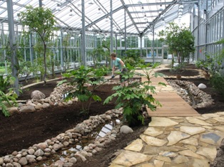 japanese and chinese part of greenhouse