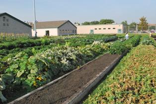 boot camp garden