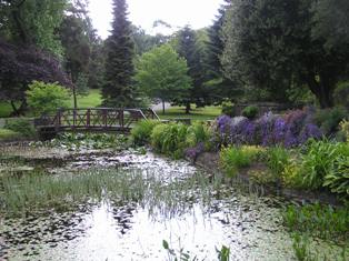 glasnevin botanic garden