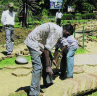 Gardeners share their knowledge to improve the Botanic Garden&copy; The Hindu
