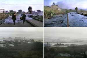 Most wars can be related to environmental problems