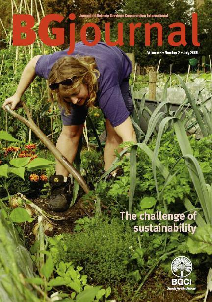 bg journal 6.2 cover bg journal 6.2 cover