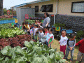 Food gardens