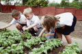 Healthy school days