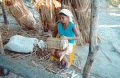 Weaving with taboa