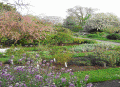 Chelsea Physic Garden