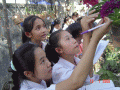 Examining orchids