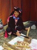 Traditional medicine, Vietnam