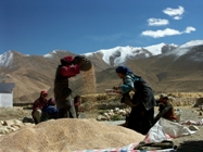 Finding natural solutions Finding natural solutions