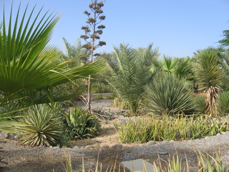 middle east garden