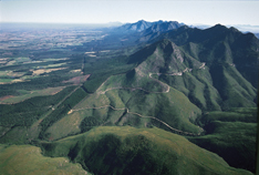 Outeniqua Outeniqua