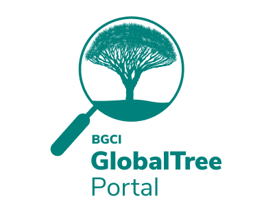 Global tree portal