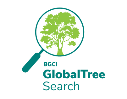 Global tree search
