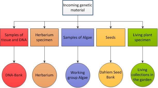 Documentation of specimens: ABS and Nagoya