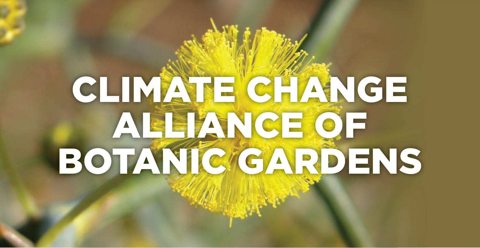 The Climate Risk Assessment Tool Project | Botanic Gardens Conservation ...