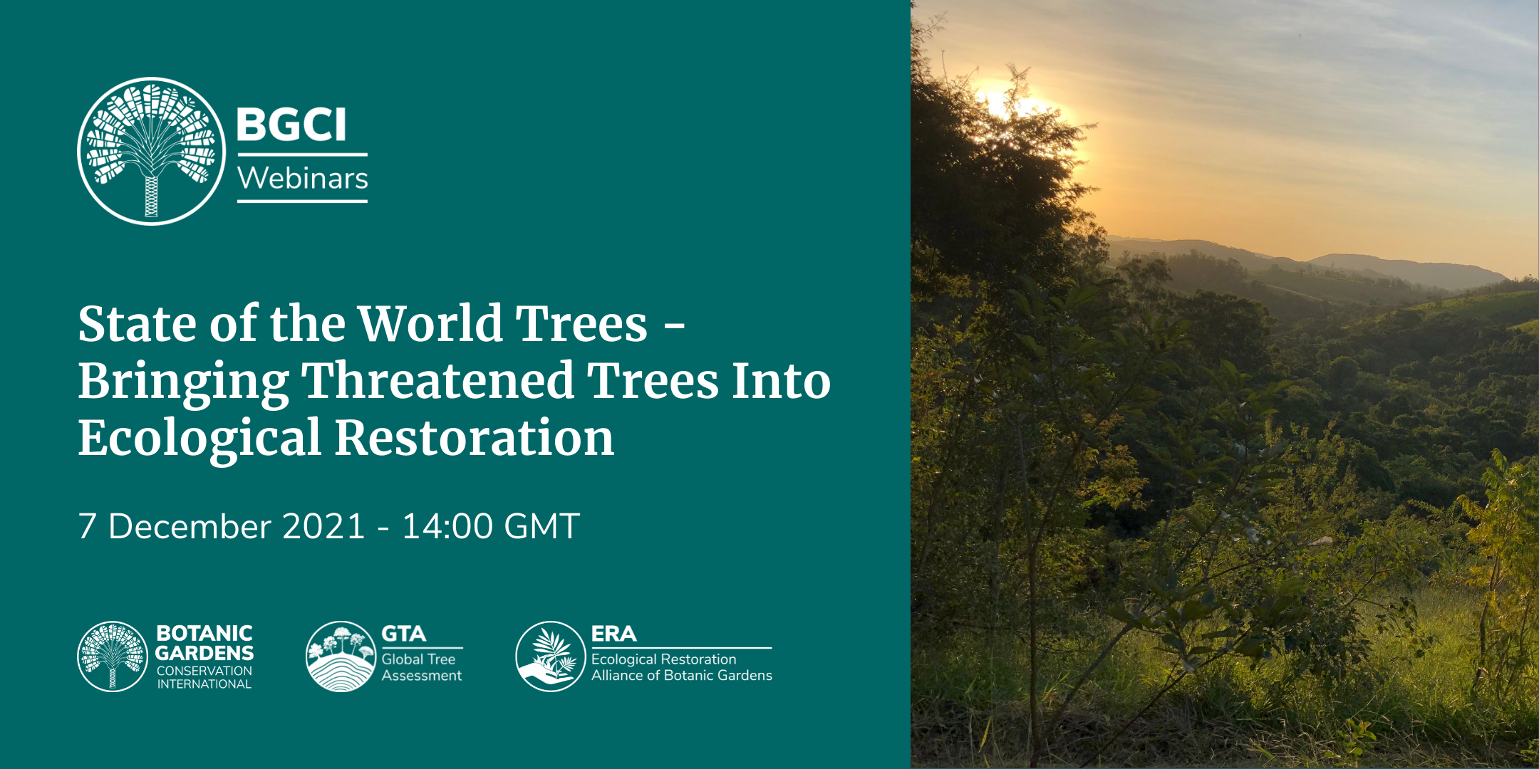 BGCI Webinar Series: State of the World's Trees - Bringing threatened ...