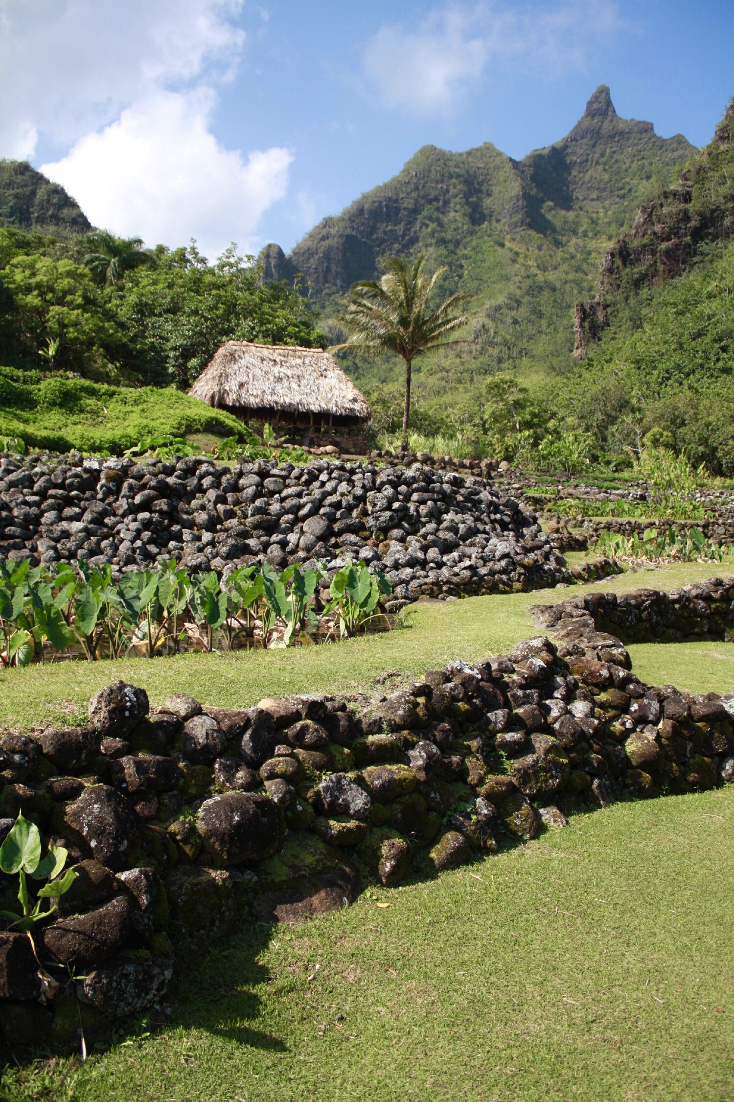 Limahuli Garden