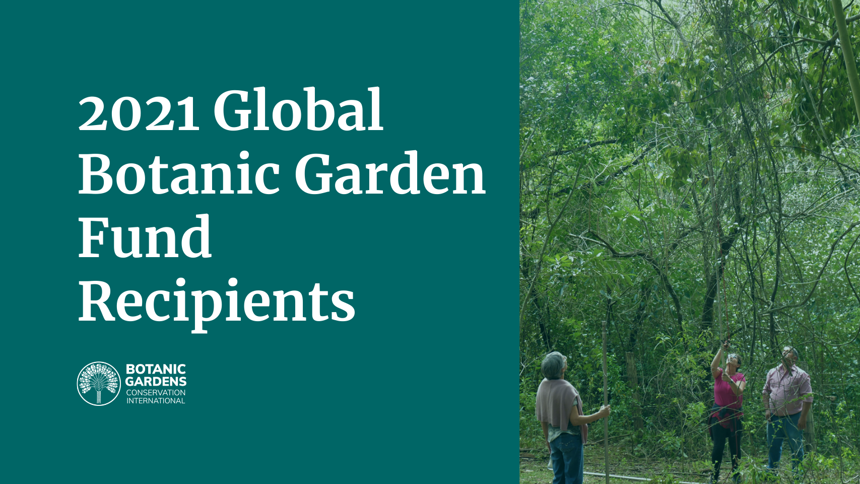 Bgci Announces 2021 Global Botanic Garden Fund Recipients Botanic