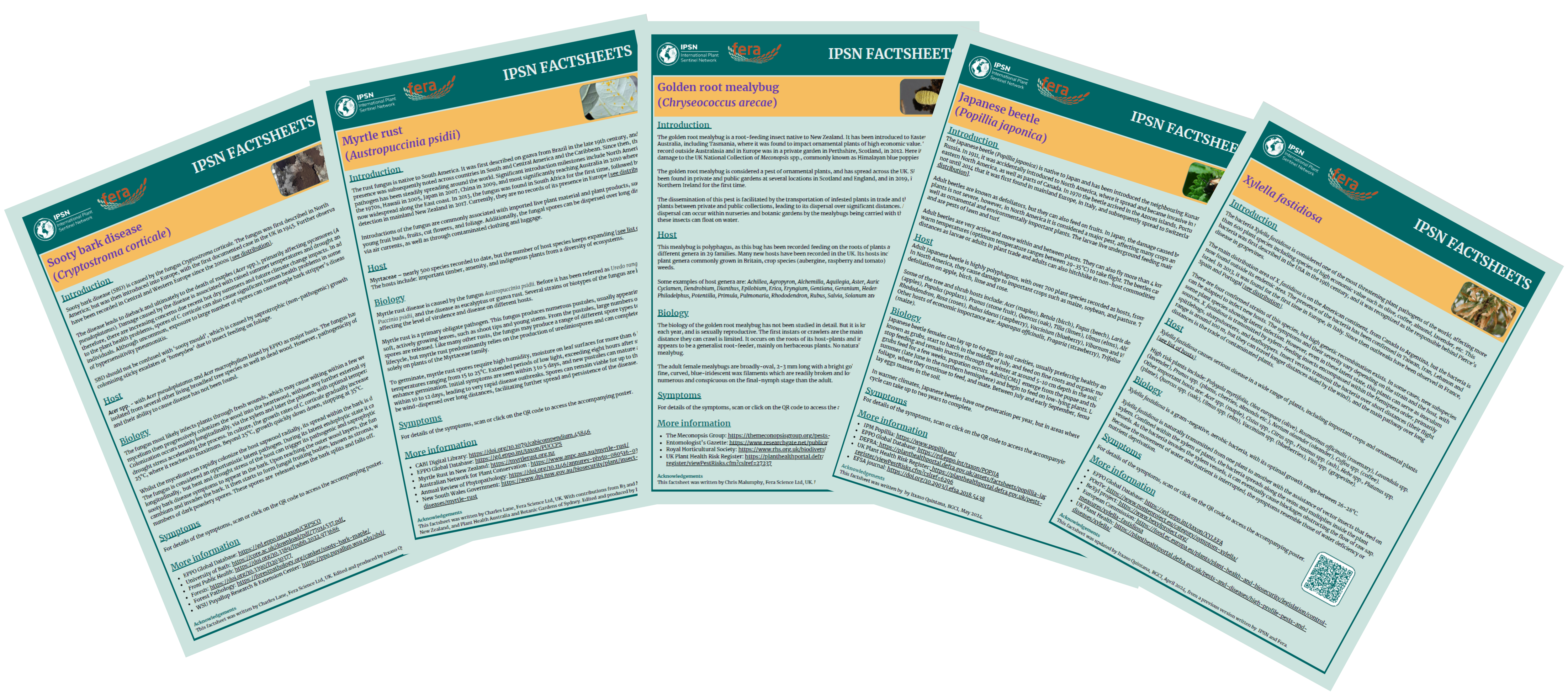 IPSN Factsheets