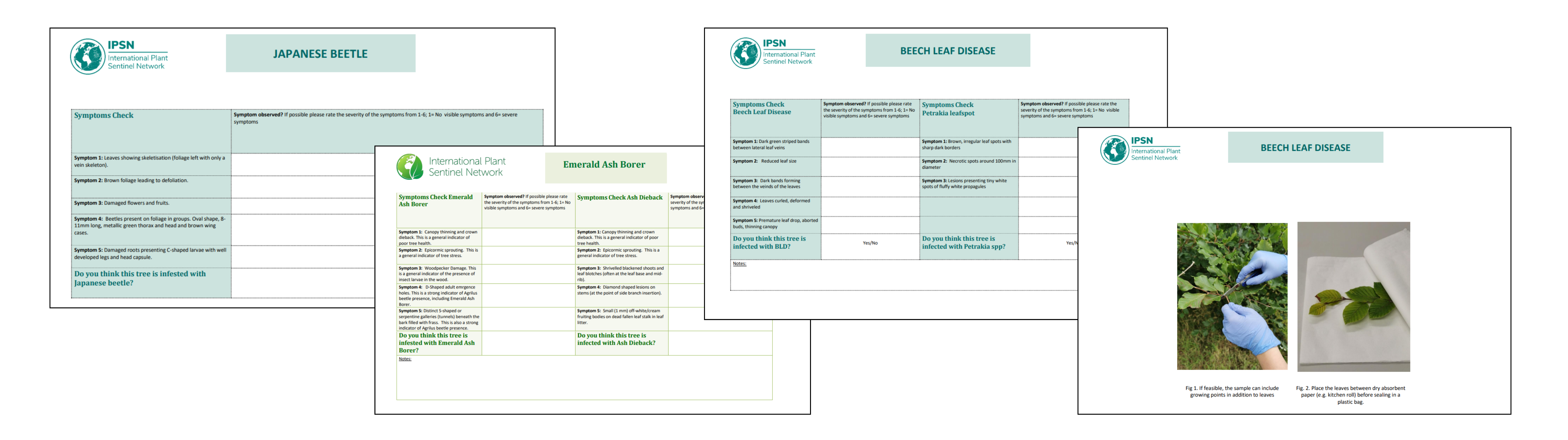 IPSN Survey forms