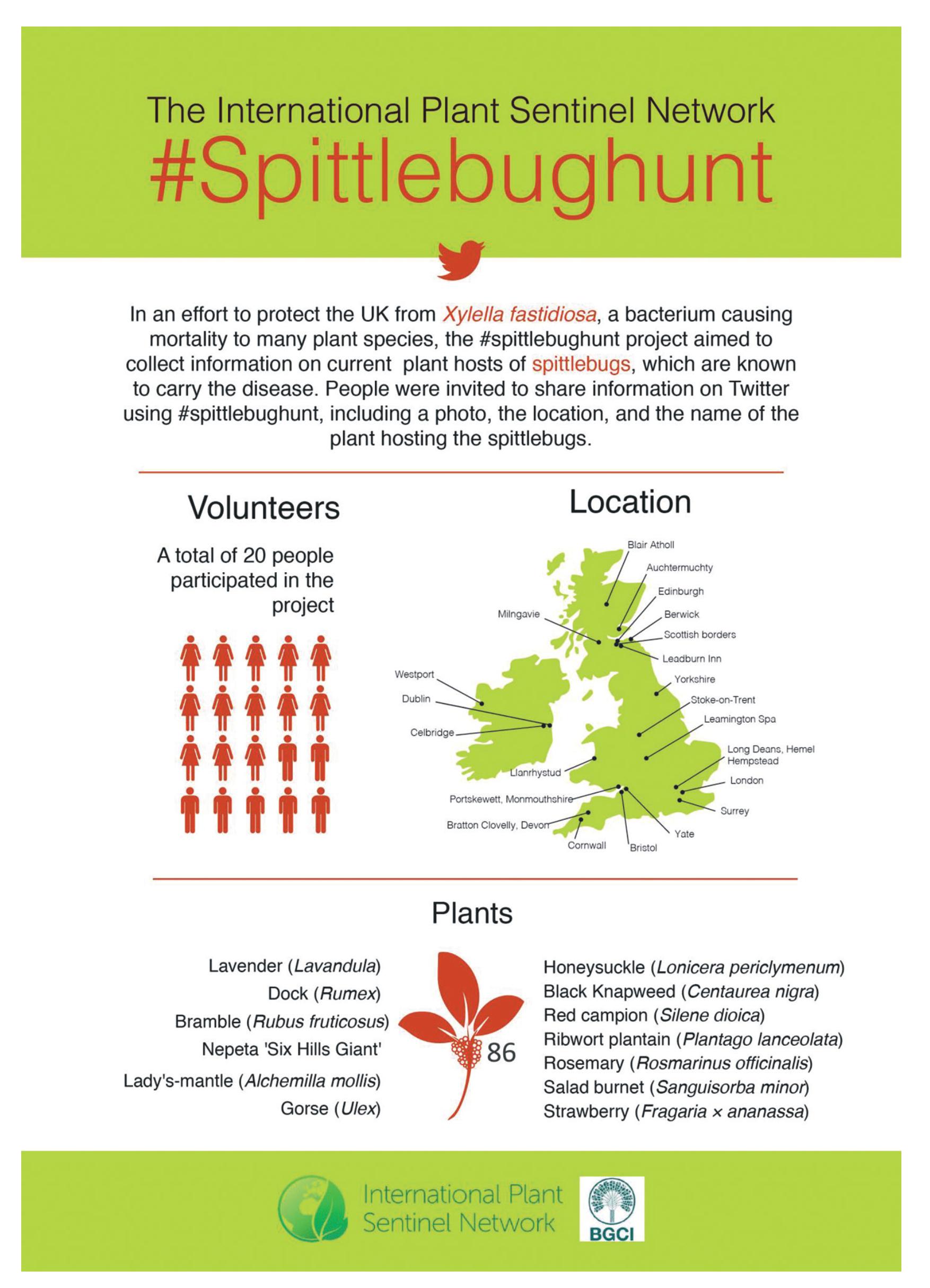 Spittlebug awareness capaign results