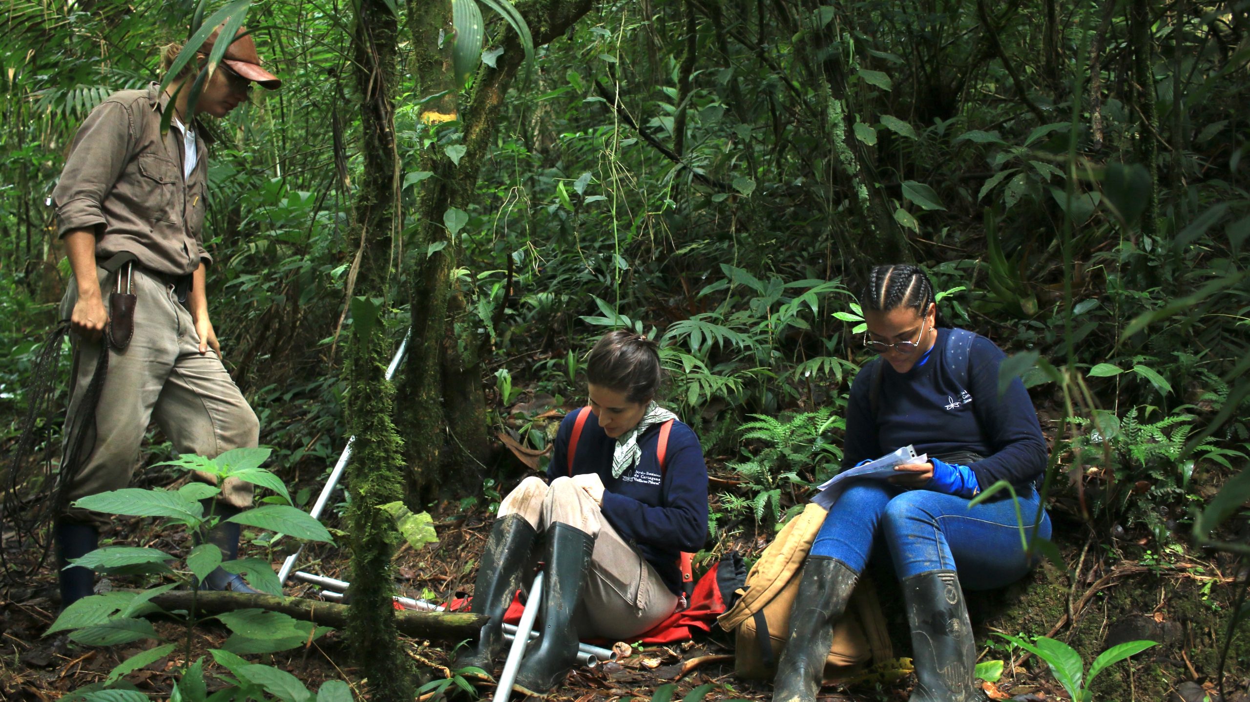 Call For Applications 2025 GGI Gardens Partnership Award Program call-for-applications-2025-ggi-gardens-partnership-award-program