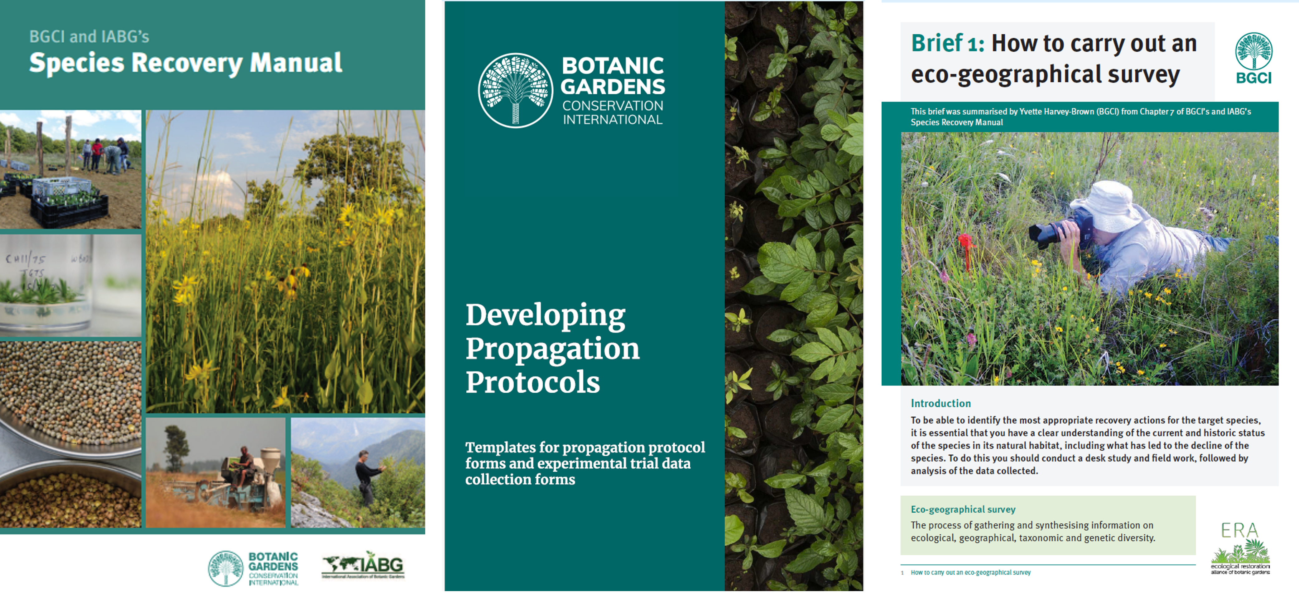 IKI publications relevant for IKI project