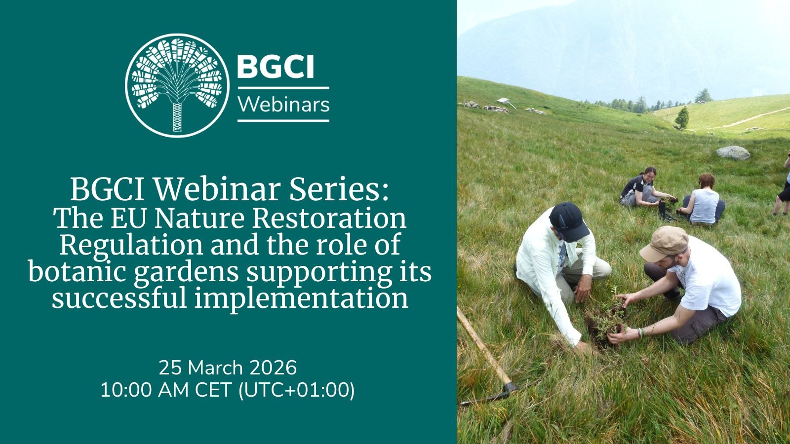 EU Nature Restoration Regulation and how botanic gardens can support its implementation.