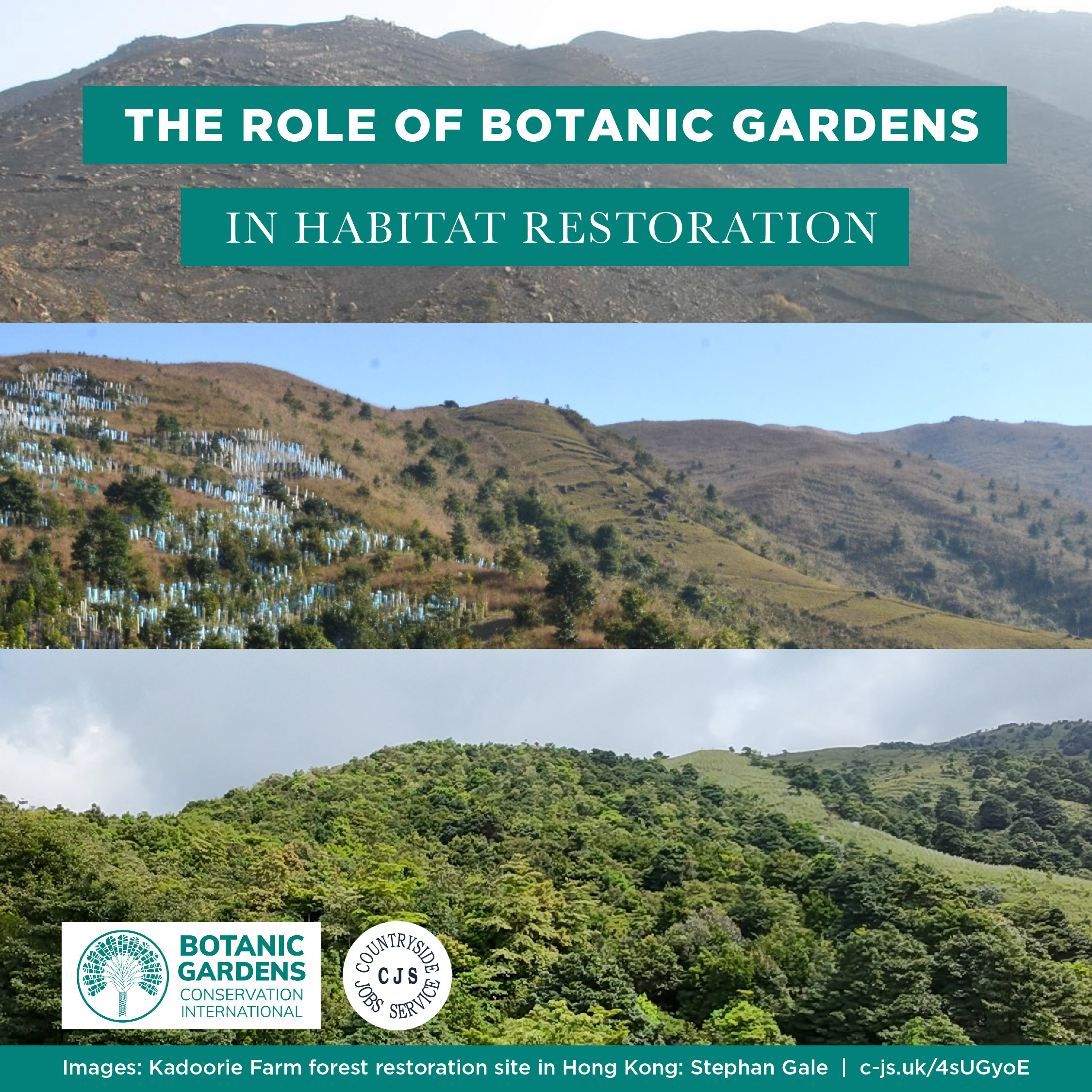 The Role of Botanic Gardens in Habitat Restoration | Botanic Gardens ...