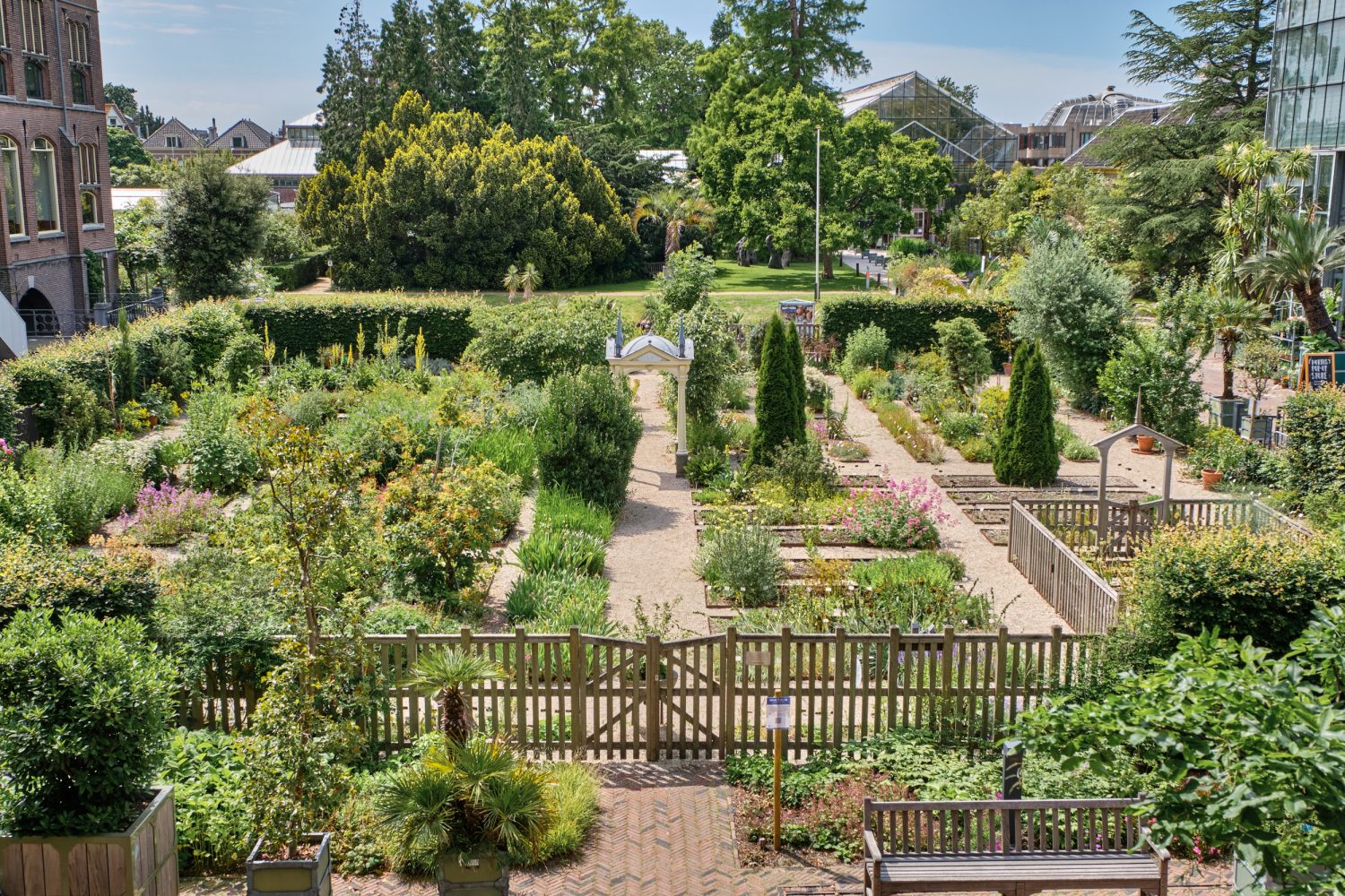 Clusius Garden in Hortus botanicus Leiden (Ralph Reniers)