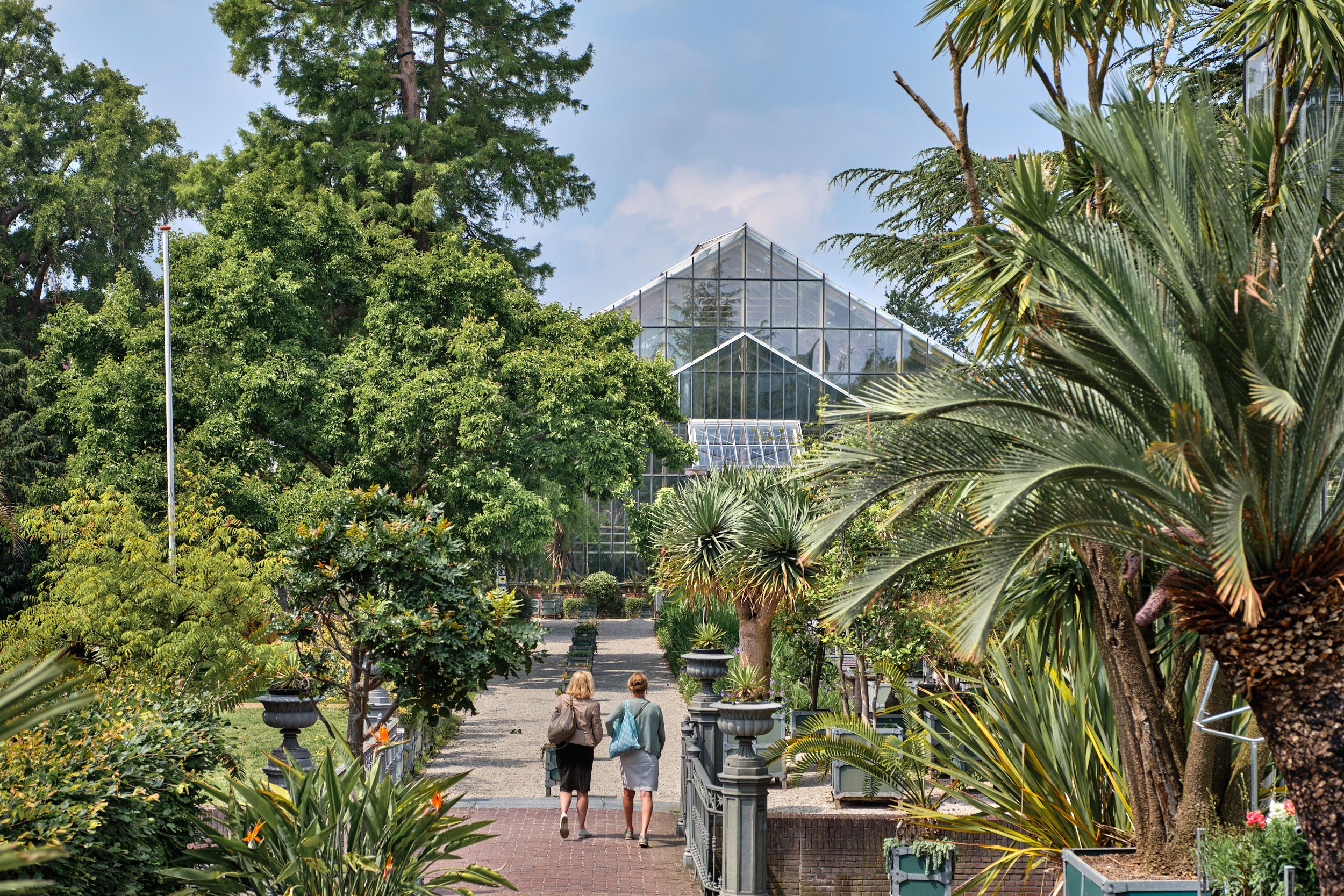 View of Tropical Glasshouses in Hortus botanicus Leiden (Ralph Reniers)
