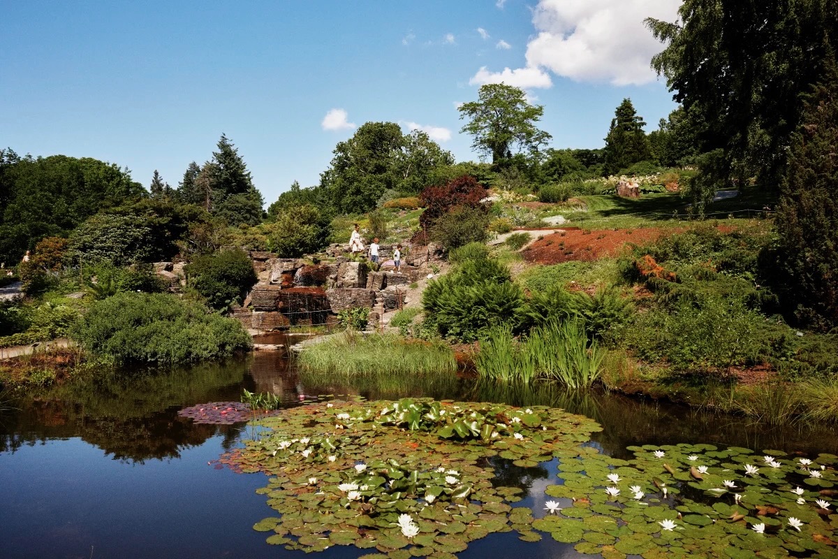 Fjellhagen (Botanical Garden Oslo)