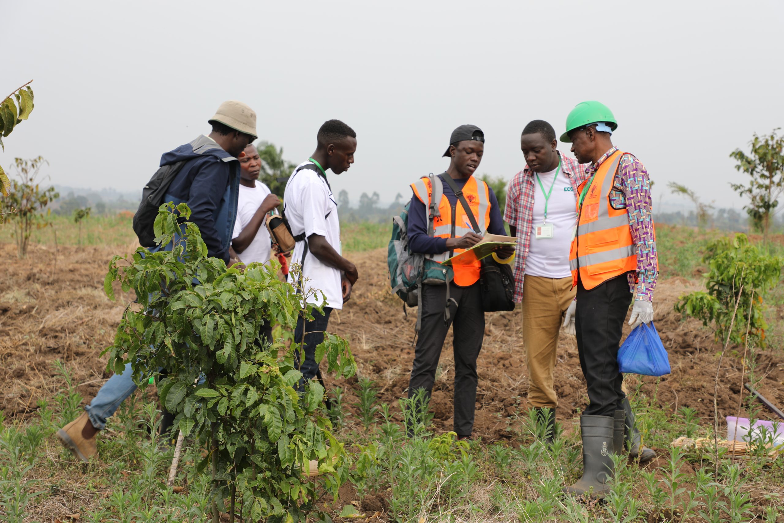 Mentoring under The Global Biodiversity Standard (Tooro Botanical Gardens)